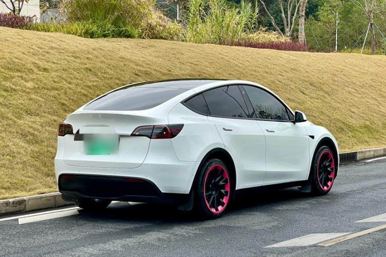 Tesla Model Y 2023 car image #4