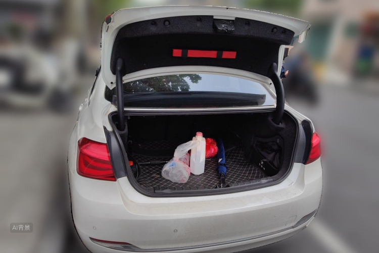 BMW 3 Series 2017 car image #21