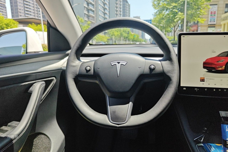 Tesla Model Y 2024 car image #12