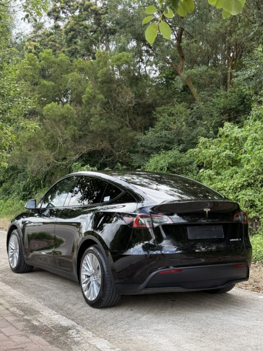 Tesla Model Y 2022 car image #4