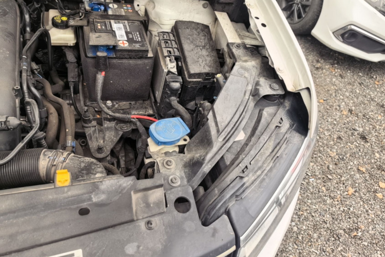 Volkswagen Tharu 2019 car image #29