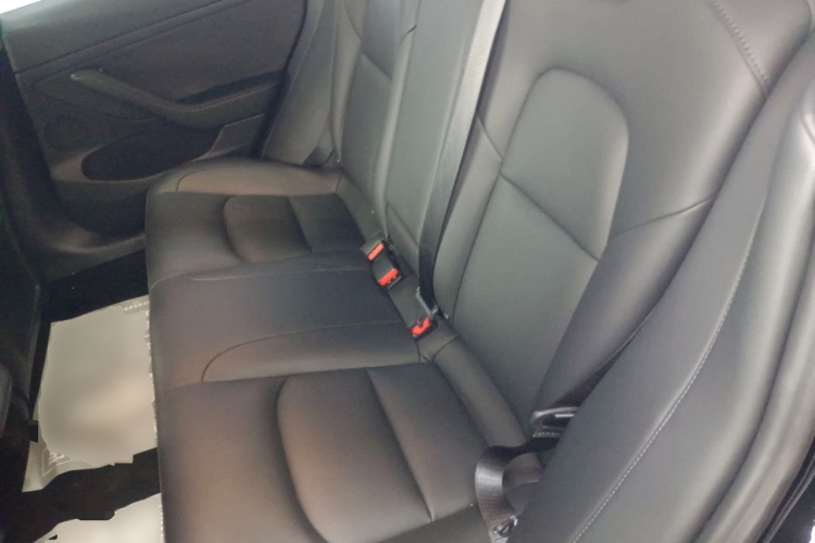 Tesla Model 3 2021 #17 Tesla Model 3 2021 car image #17
