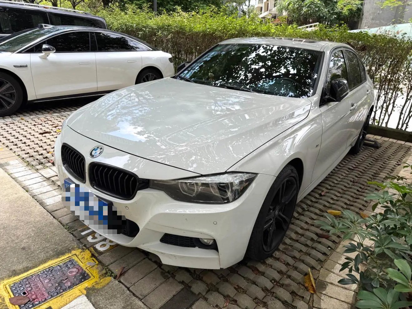 BMW 3 Series 2019 BMW 3 Series 2019 car image