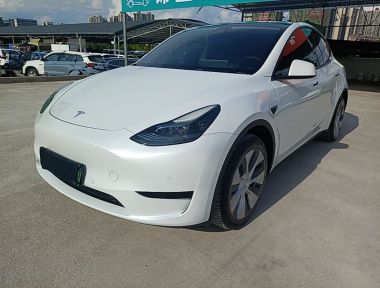 Tesla Model Y 2022 car image 