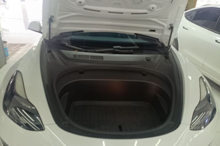 Tesla Model 3 2021 car image #20