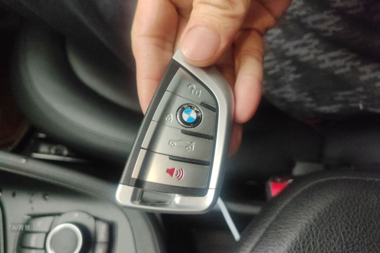 BMW X1 2017 imagem de carro #10