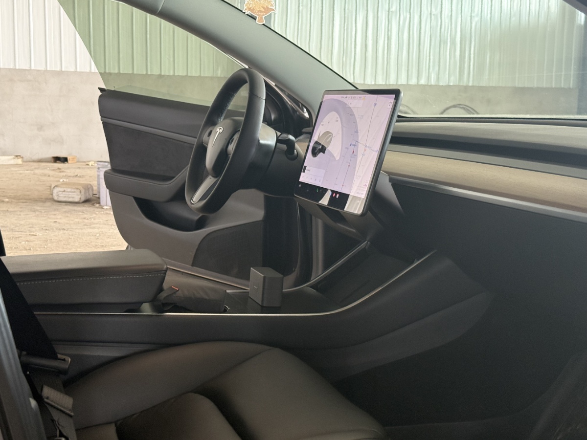 Tesla Model 3 2020 car image #4