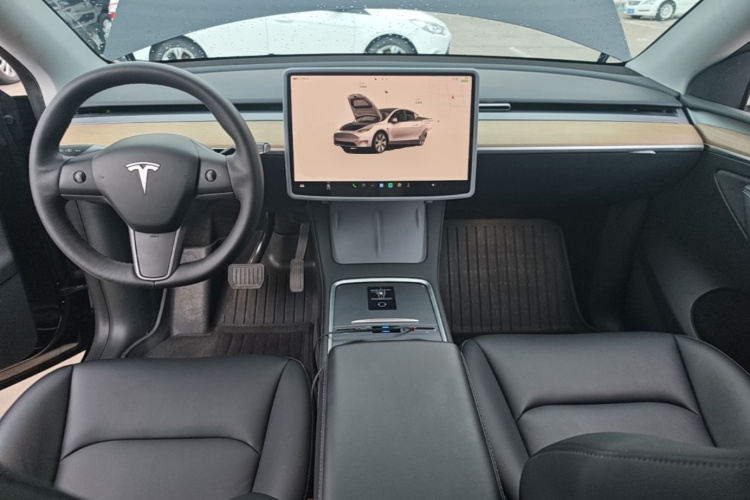Tesla Model Y 2023 car image #10