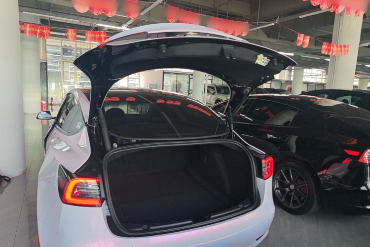 Tesla Model 3 2022 #19 Tesla Model 3 2022 immagine di auto #19