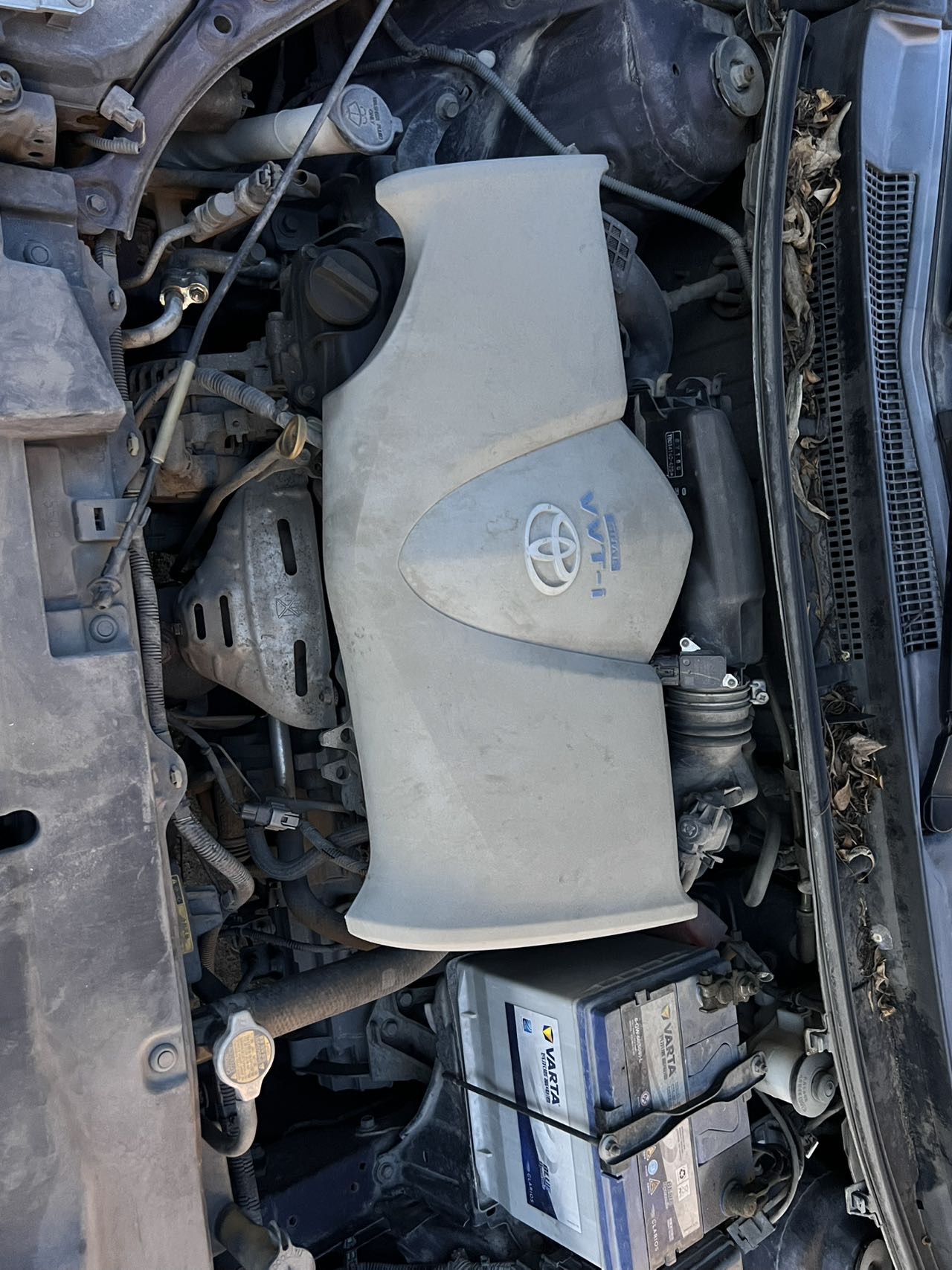 Toyota Vios 2014 car image #6
