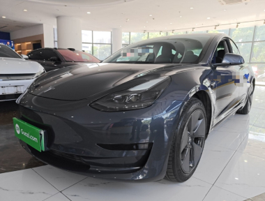 Tesla Model 3 2021 Tesla Model 3 2021 immagine di auto