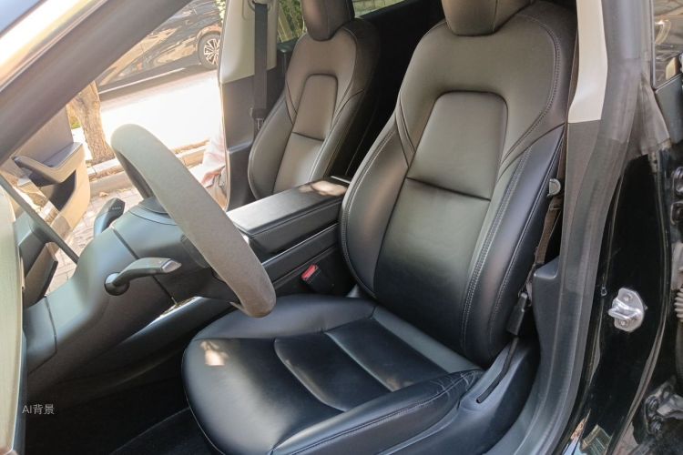 Tesla Model 3 2020 car image #17