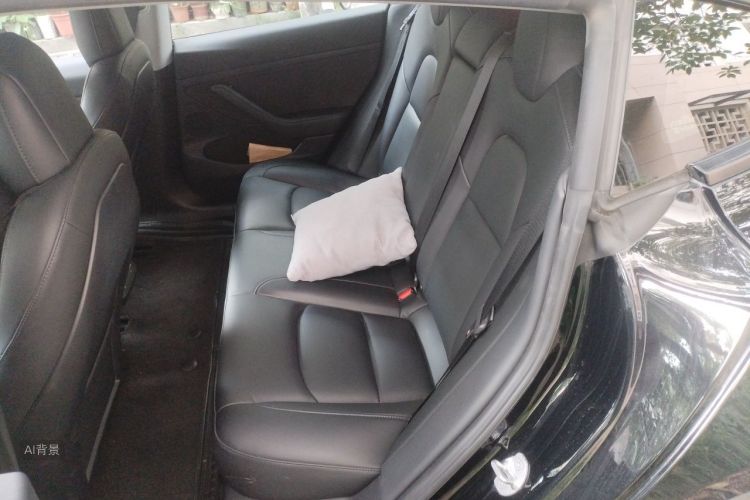 Tesla Model 3 2021 car image #19
