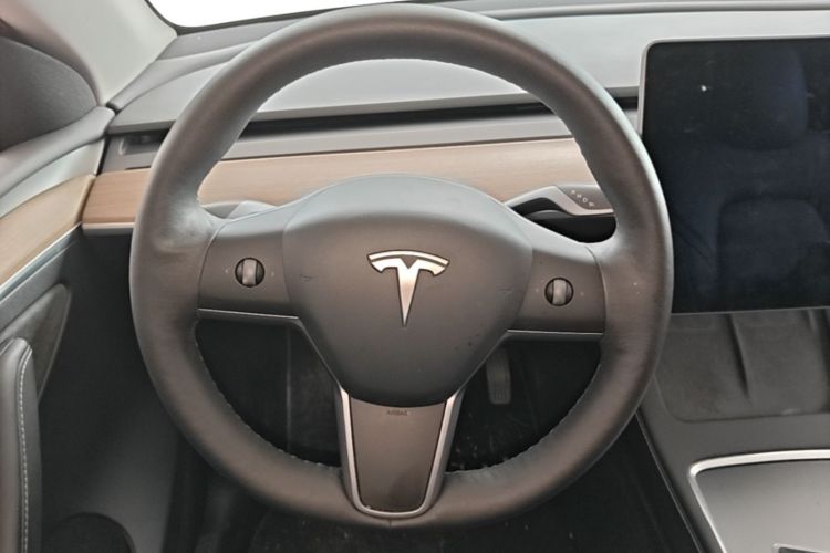 Tesla Model Y 2021 car image #12