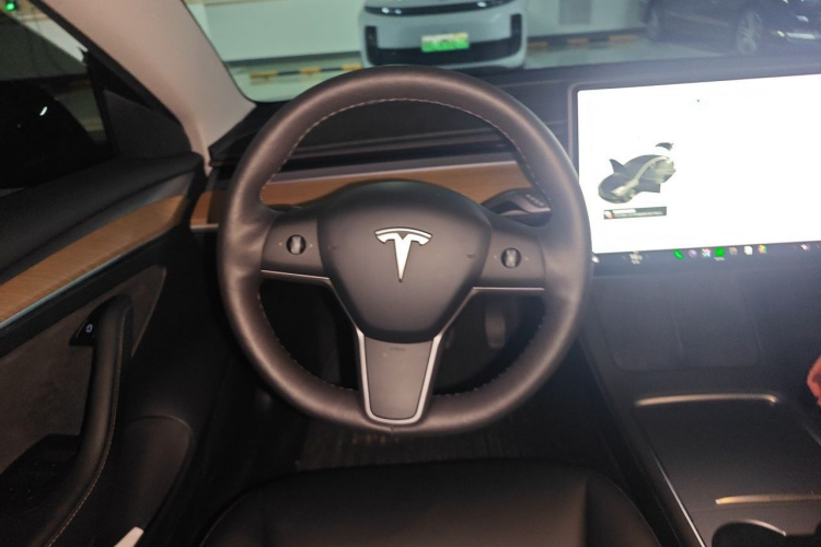 Tesla Model 3 2021 #15 Tesla Model 3 2021 car image #15