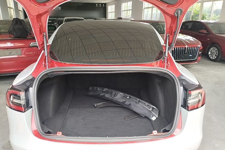 Tesla Model 3 2020 #21 Tesla Model 3 2020 car image #21