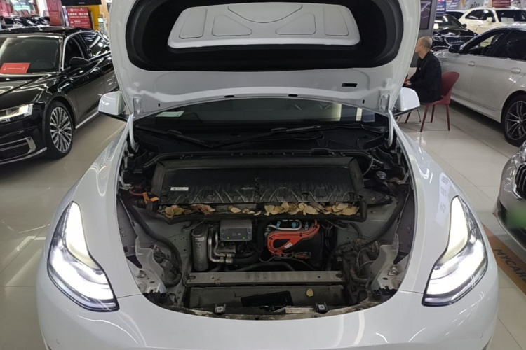 Tesla Model Y 2022 car image #20