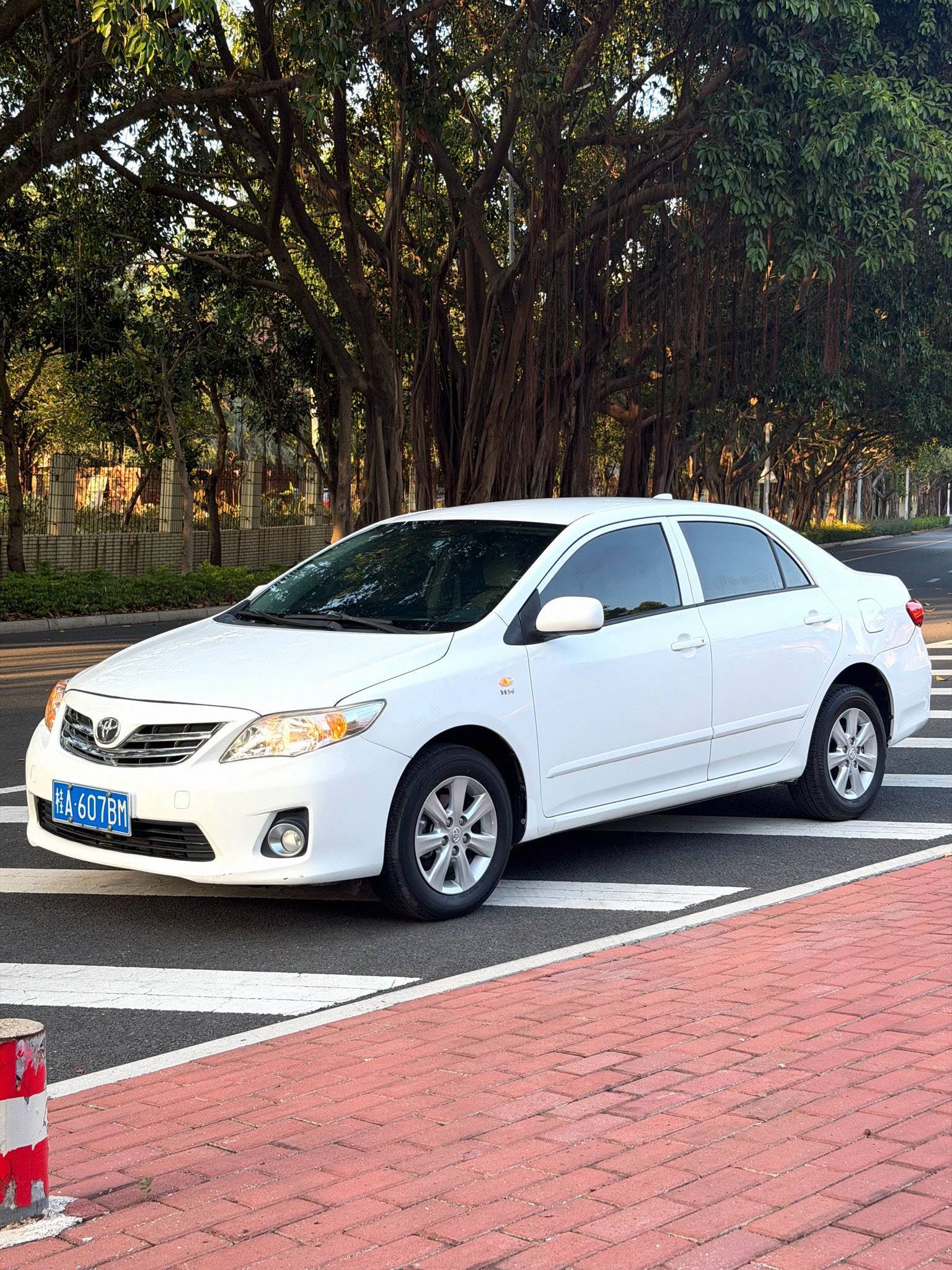 Toyota Corolla 2011 Toyota Corolla 2011 car image