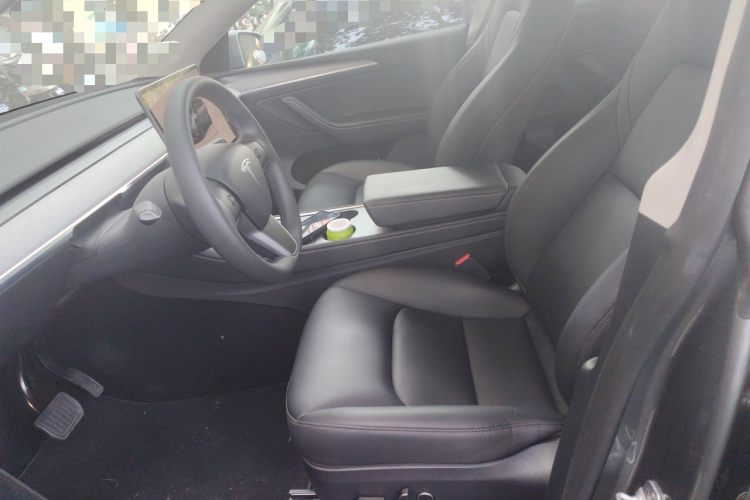 Tesla Model Y 2024 car image #15