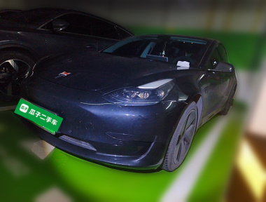 Tesla Model 3 2021 car image 