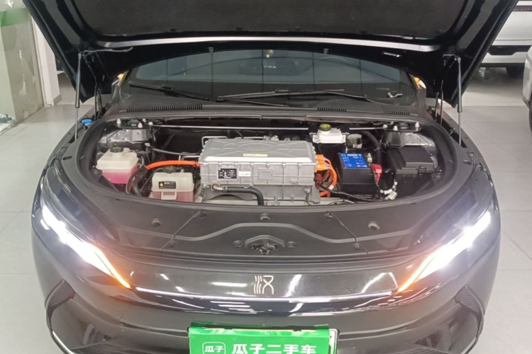 BYD Han 2022 #20 BYD Han 2022 immagine di auto #20