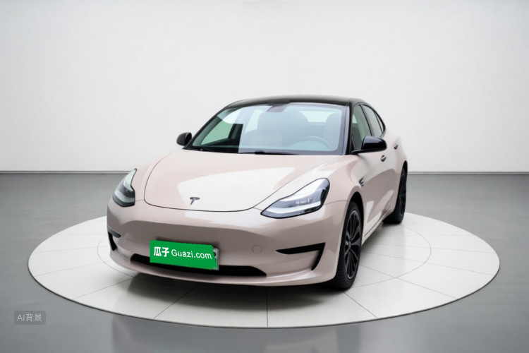 Tesla Model 3 2020 #3 Tesla Model 3 2020 car image #3