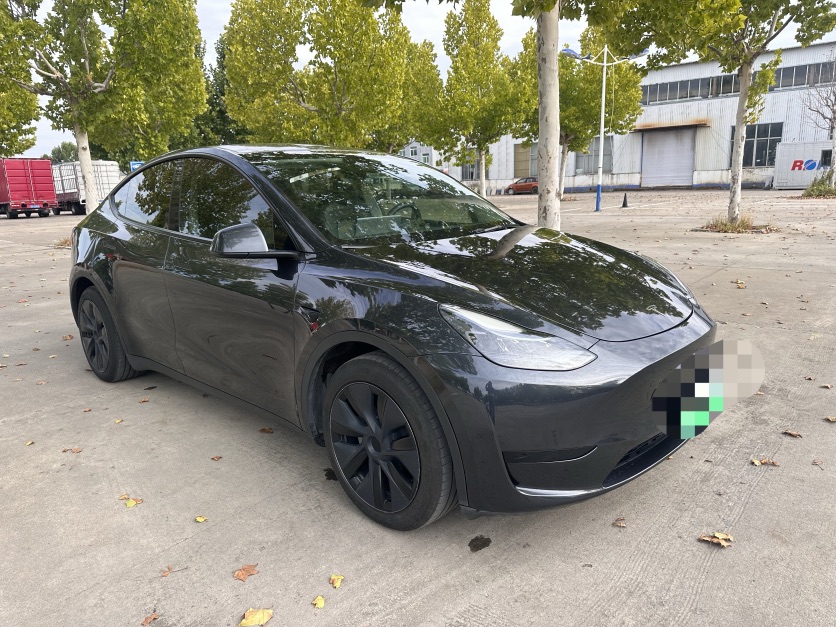 Tesla Model Y 2024 image de voiture #3