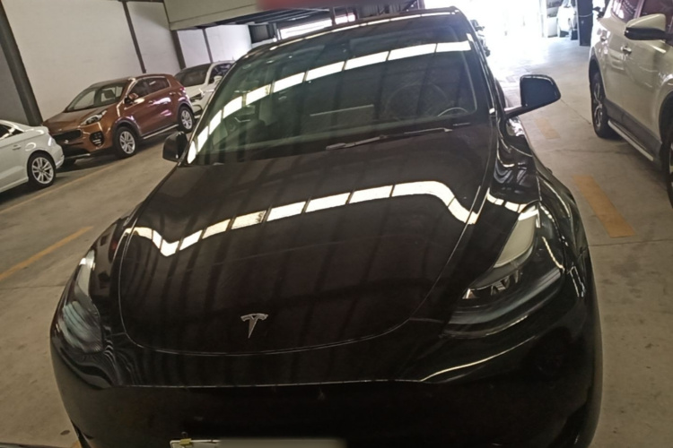 Tesla Model Y 2023 #3 Tesla Model Y 2023 car image #3