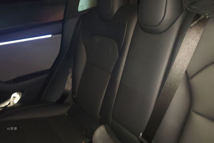 Tesla Model 3 2025 car image #19