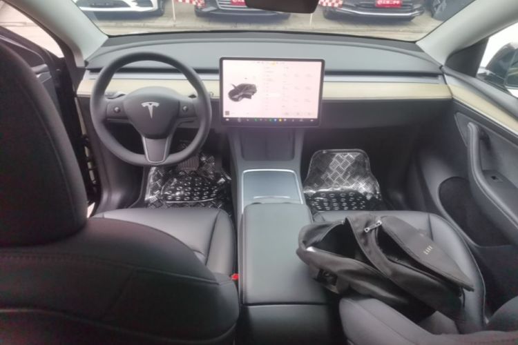 Tesla Model Y 2022 immagine di auto #10