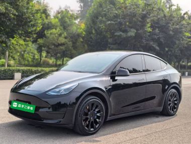 Tesla Model Y 2023 Tesla Model Y 2023 car image