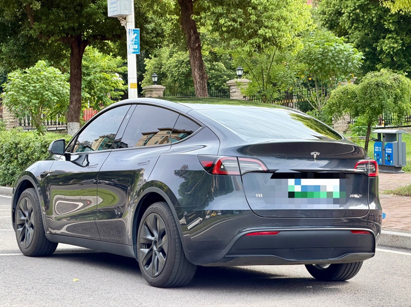Tesla Model Y 2025 car image #6