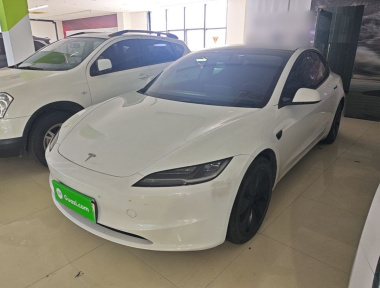 Tesla Model 3 2024 Tesla Model 3 2024 car image