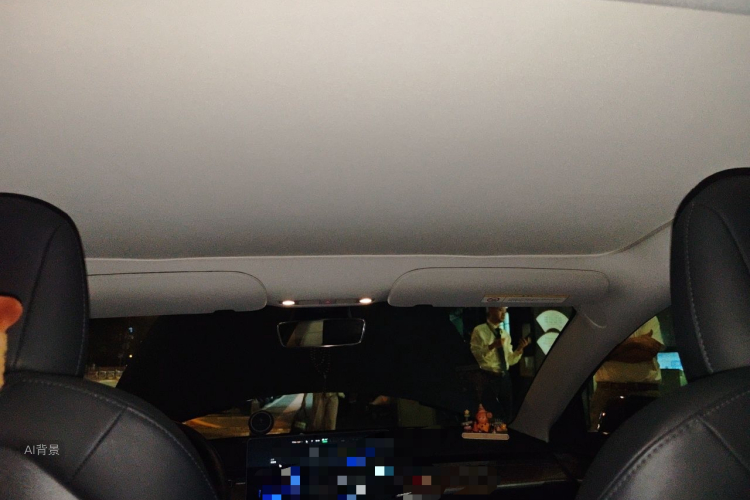 Tesla Model 3 2021 car image #20