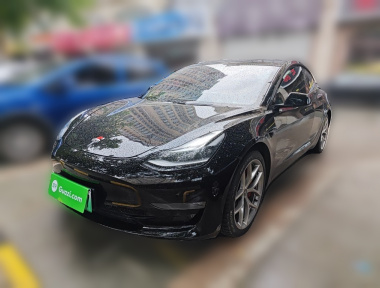 Tesla Model 3 2021 immagine di auto 