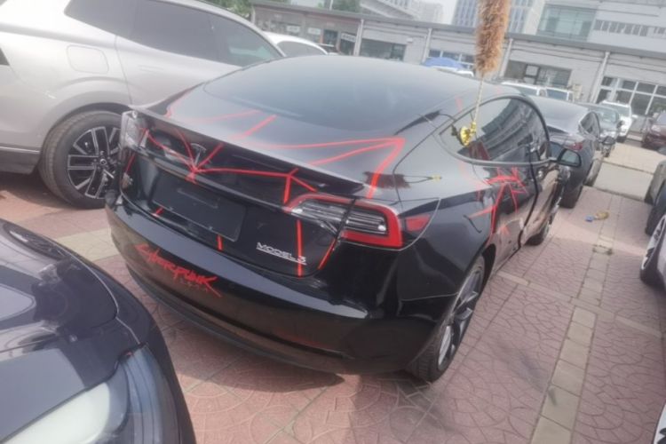 Tesla Model 3 2021 #7 Tesla Model 3 2021 car image #7