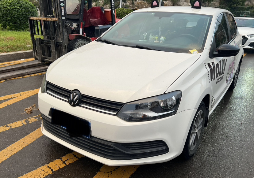 Volkswagen Polo 2016 Volkswagen Polo 2016 car image