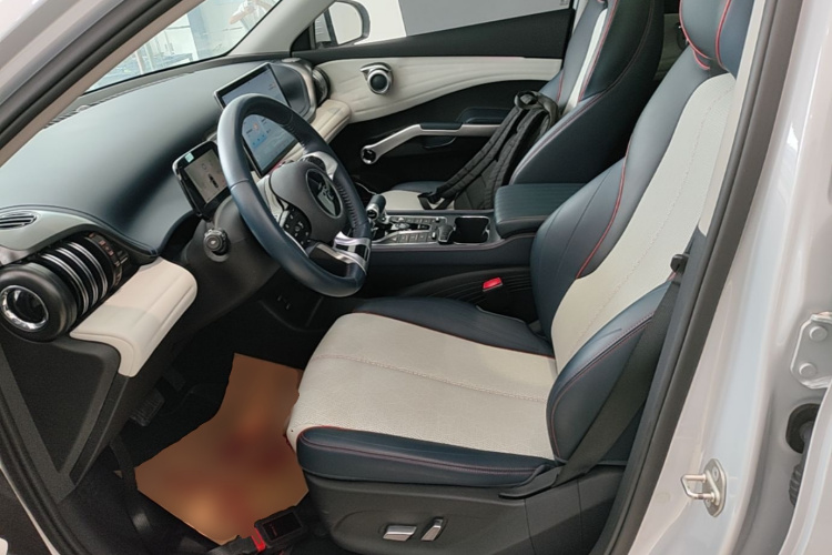 BYD Yuan Plus 2022 #15 BYD Yuan Plus 2022 immagine di auto #15