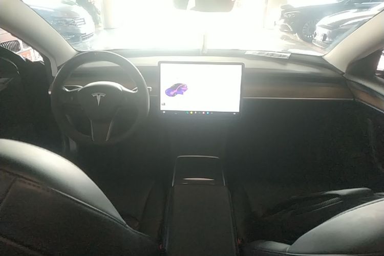 Tesla Model 3 2021 car image #10