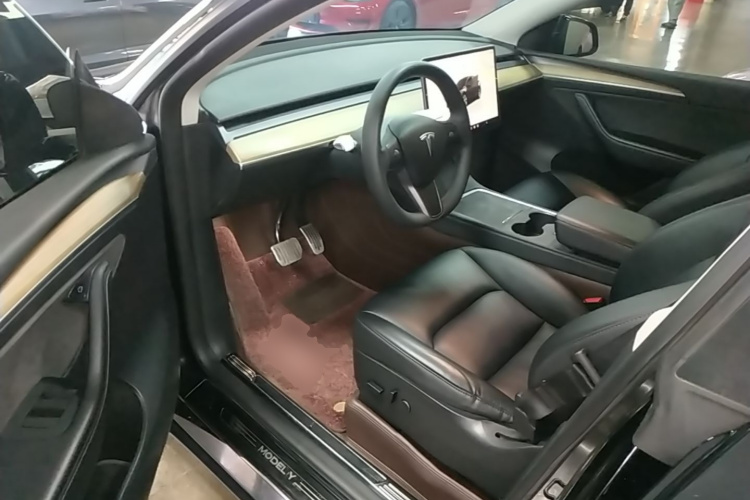 Tesla Model Y 2023 car image #12