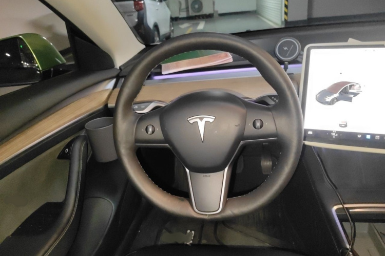 Tesla Model 3 2021 car image #12