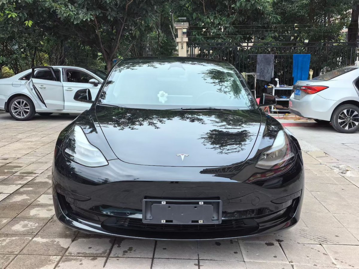 Tesla Model 3 2022 #2 Tesla Model 3 2022 car image #2