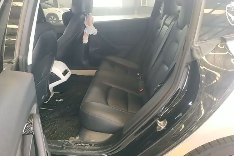 Tesla Model 3 2021 car image #17