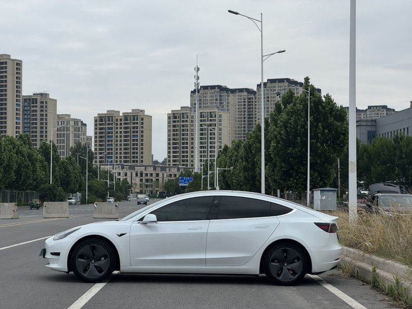 Tesla Model 3 2020 car image #3