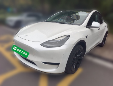 Tesla Model Y 2023 Tesla Model Y 2023 car image