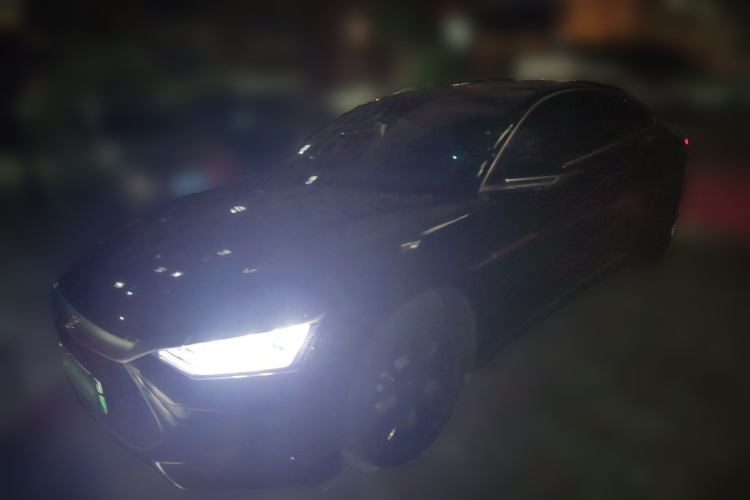 BYD Han 2023 immagine di auto #2