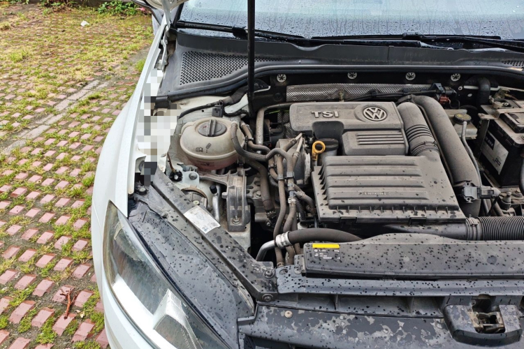 Volkswagen Golf 2017 car image #24