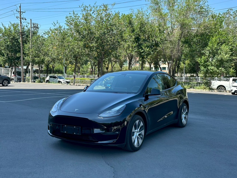 Tesla Model Y 2021 car image #3