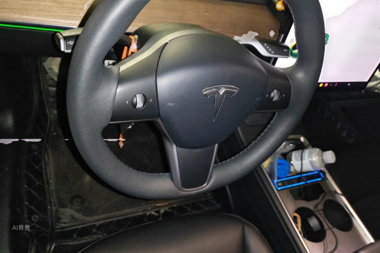 Tesla Model 3 2021 car image #12