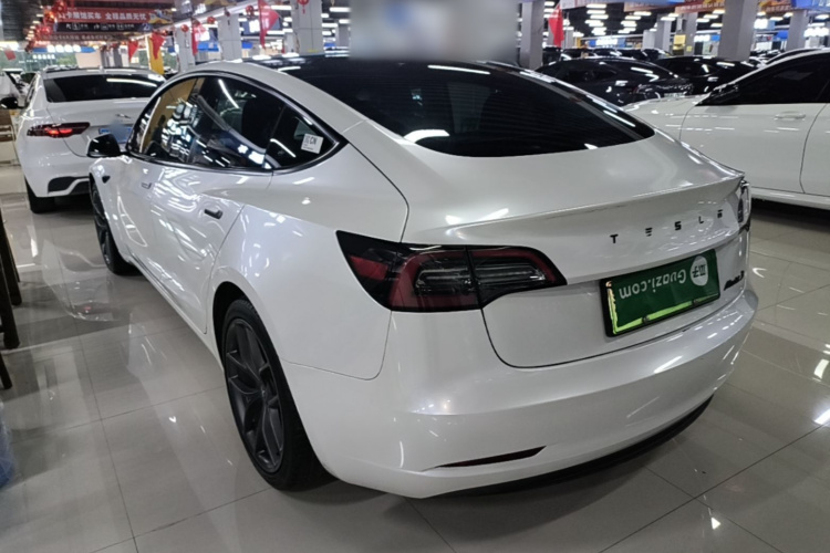 Tesla Model 3 2022 #5 Tesla Model 3 2022 car image #5